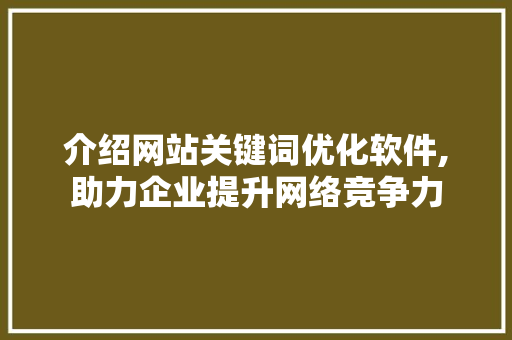 介绍网站关键词优化软件,助力企业提升网络竞争力