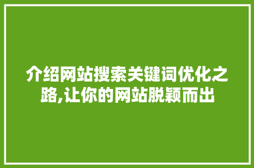 介绍网站搜索关键词优化之路,让你的网站脱颖而出