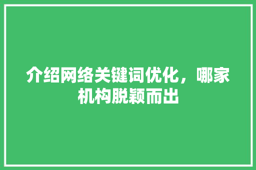 介绍网络关键词优化，哪家机构脱颖而出