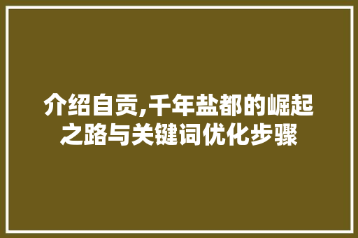 介绍自贡,千年盐都的崛起之路与关键词优化步骤