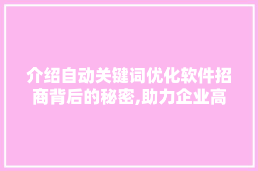 介绍自动关键词优化软件招商背后的秘密,助力企业高效推广
