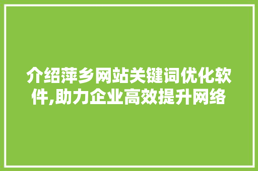 介绍萍乡网站关键词优化软件,助力企业高效提升网络曝光度