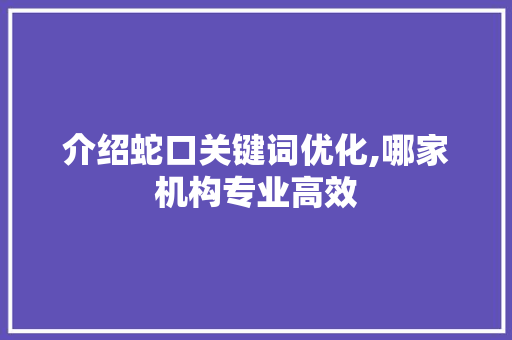介绍蛇口关键词优化,哪家机构专业高效