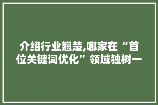 介绍行业翘楚,哪家在“首位关键词优化”领域独树一帜