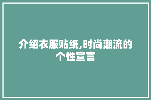 介绍衣服贴纸,时尚潮流的个性宣言
