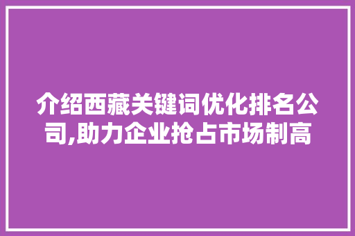 介绍西藏关键词优化排名公司,助力企业抢占市场制高点