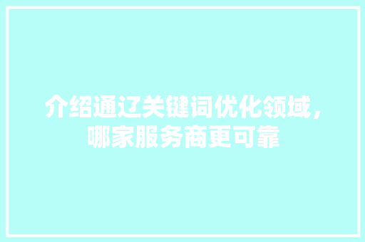 介绍通辽关键词优化领域，哪家服务商更可靠