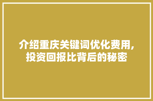 介绍重庆关键词优化费用,投资回报比背后的秘密