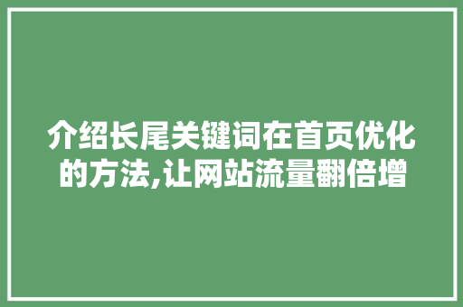 介绍长尾关键词在首页优化的方法,让网站流量翻倍增长