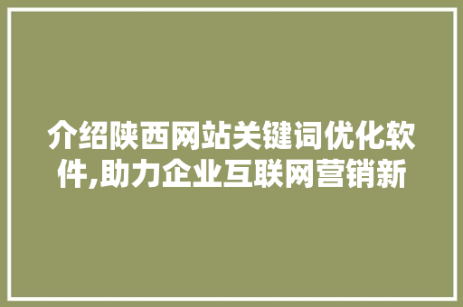 介绍陕西网站关键词优化软件,助力企业互联网营销新篇章