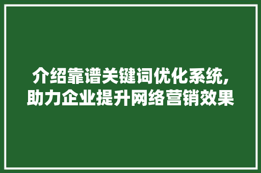 介绍靠谱关键词优化系统,助力企业提升网络营销效果