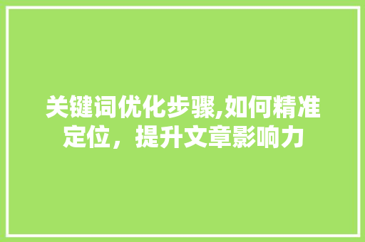 关键词优化步骤,如何精准定位，提升文章影响力