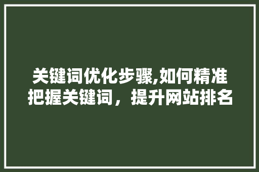 关键词优化步骤,如何精准把握关键词，提升网站排名