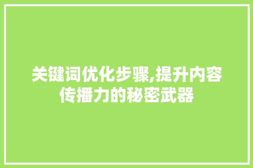 关键词优化步骤,提升内容传播力的秘密武器
