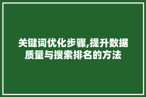 关键词优化步骤,提升数据质量与搜索排名的方法