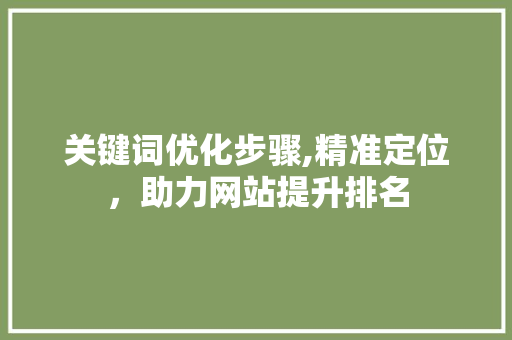 关键词优化步骤,精准定位，助力网站提升排名