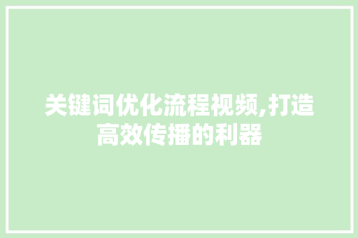 关键词优化流程视频,打造高效传播的利器