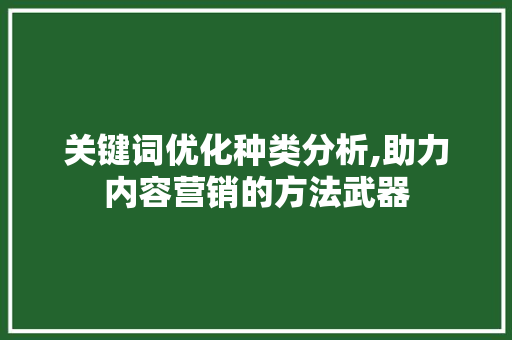 关键词优化种类分析,助力内容营销的方法武器