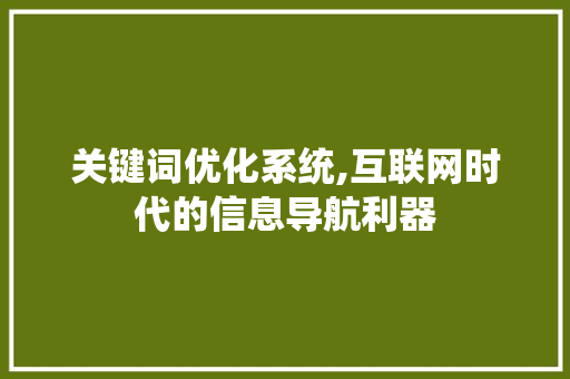 关键词优化系统,互联网时代的信息导航利器