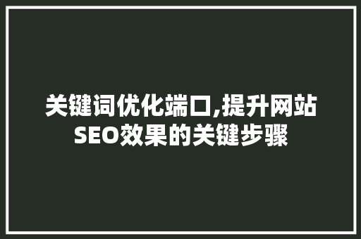 关键词优化端口,提升网站SEO效果的关键步骤