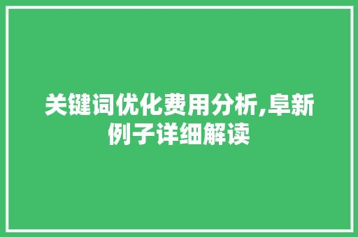关键词优化费用分析,阜新例子详细解读