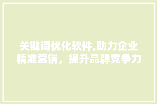 关键词优化软件,助力企业精准营销，提升品牌竞争力