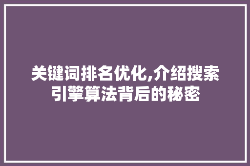 关键词排名优化,介绍搜索引擎算法背后的秘密