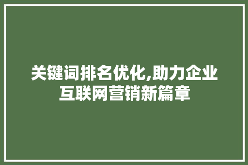 关键词排名优化,助力企业互联网营销新篇章