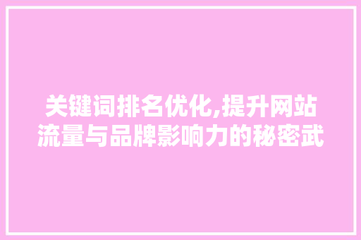 关键词排名优化,提升网站流量与品牌影响力的秘密武器
