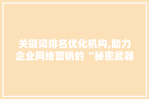 关键词排名优化机构,助力企业网络营销的“秘密武器”