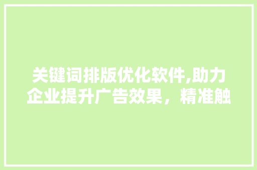 关键词排版优化软件,助力企业提升广告效果，精准触达目标用户