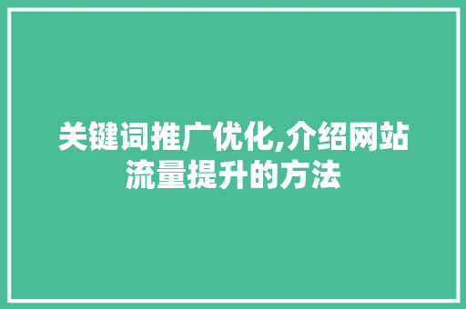关键词推广优化,介绍网站流量提升的方法