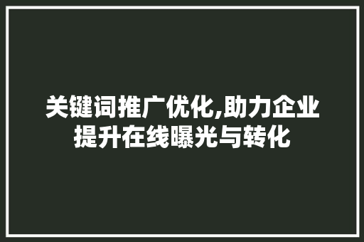 关键词推广优化,助力企业提升在线曝光与转化