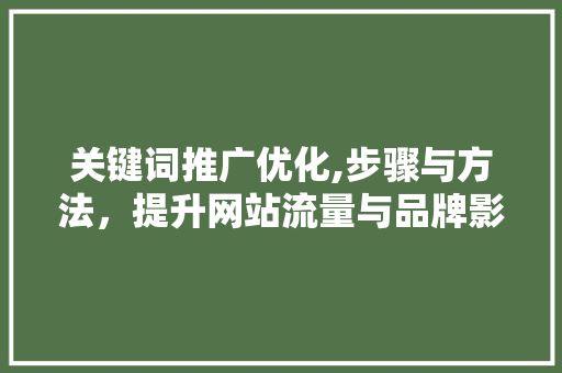 关键词推广优化,步骤与方法，提升网站流量与品牌影响力