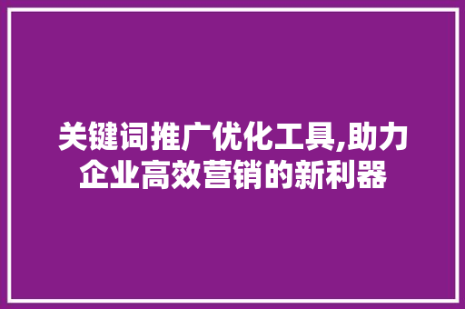 关键词推广优化工具,助力企业高效营销的新利器