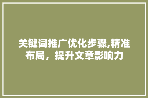 关键词推广优化步骤,精准布局，提升文章影响力