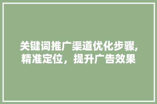 关键词推广渠道优化步骤,精准定位，提升广告效果