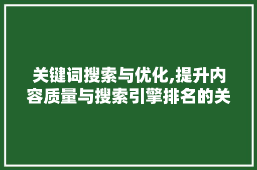 关键词搜索与优化,提升内容质量与搜索引擎排名的关键步骤