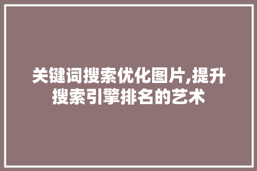 关键词搜索优化图片,提升搜索引擎排名的艺术