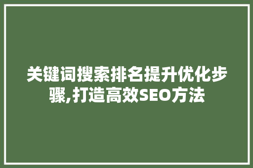 关键词搜索排名提升优化步骤,打造高效SEO方法