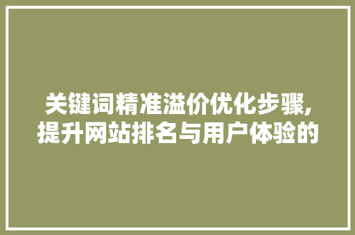 关键词精准溢价优化步骤,提升网站排名与用户体验的方法