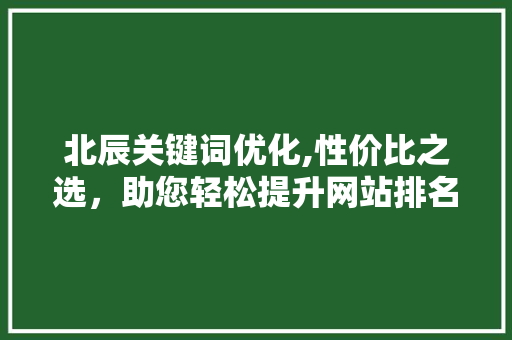 北辰关键词优化,性价比之选，助您轻松提升网站排名
