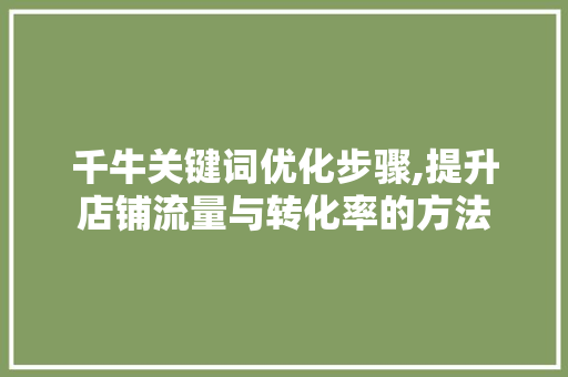 千牛关键词优化步骤,提升店铺流量与转化率的方法