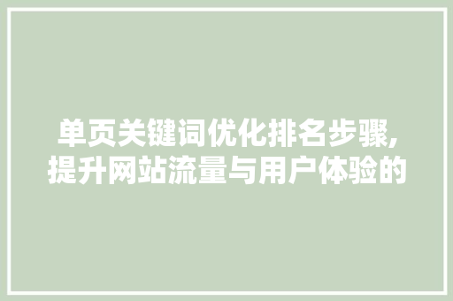 单页关键词优化排名步骤,提升网站流量与用户体验的双重保障