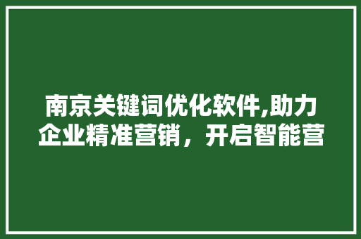 南京关键词优化软件,助力企业精准营销，开启智能营销新时代