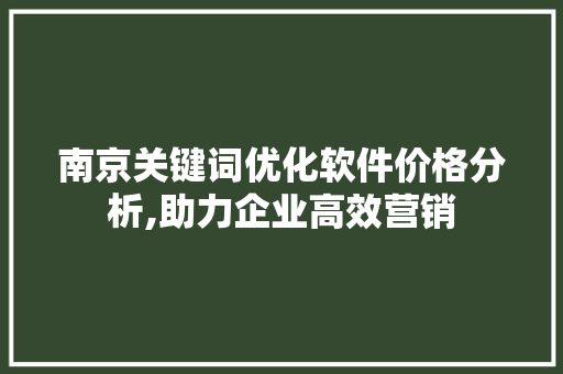 南京关键词优化软件价格分析,助力企业高效营销