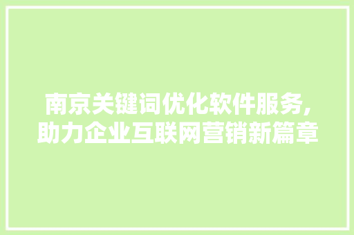 南京关键词优化软件服务,助力企业互联网营销新篇章