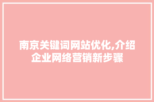 南京关键词网站优化,介绍企业网络营销新步骤