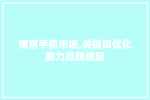 南京手机市场,关键词优化助力品牌崛起