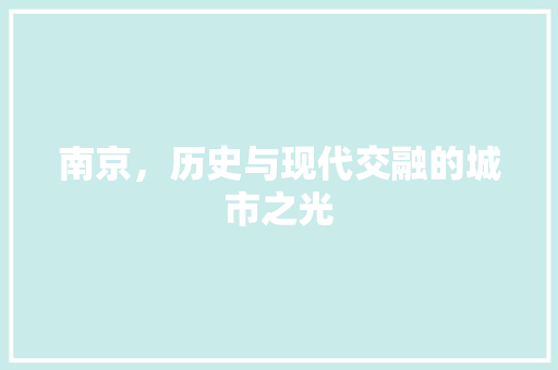 南京，历史与现代交融的城市之光